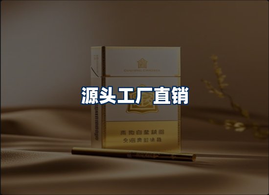 专业团队办公环境